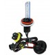 12/24V Lampadina HID Xenon 6.000K - H11 - 1 pezzo - Scatola