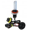 12/24V Lampadina HID Xenon 8.000K - H11 - 1 pezzo - Scatola