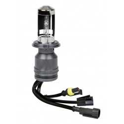 12/24V Lampadina HID Xenon 5.000K - H4 - 1 pezzo - Scatola