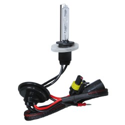 12/24V Lampadina HID Xenon 5.000K - H1 - 1 pezzo - Scatola