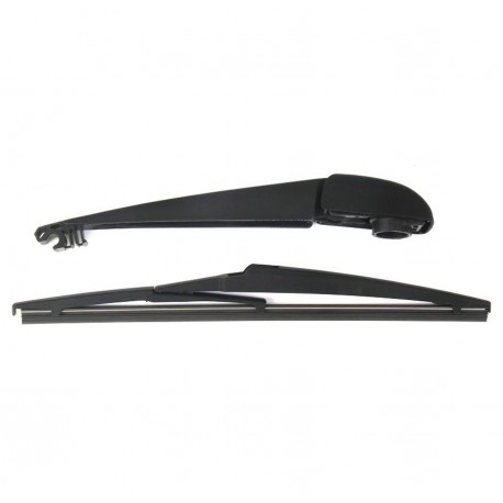 Braccio spazzolante con tergilunotto posteriore 315 mm