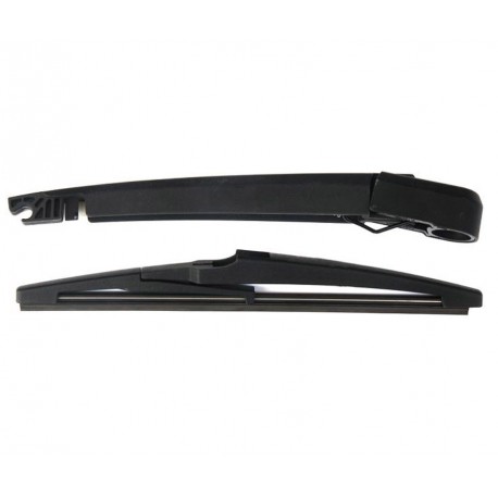 Braccio spazzolante con tergilunotto posteriore 250 mm