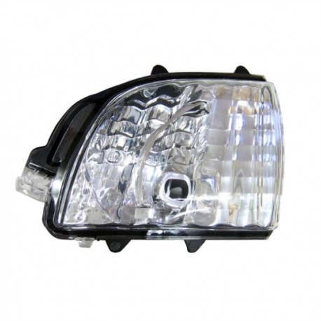 Fanalino freccia retrovisore sx