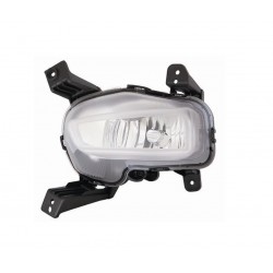 Fendinebbia H8 passeggero dx