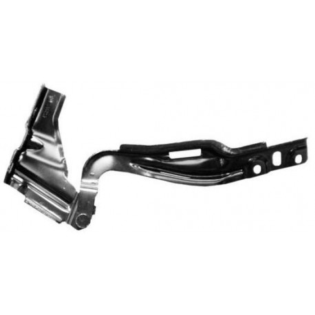 Cerniera cofano anteriore sx