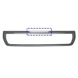 Cornice griglia mascherina radiatore silver