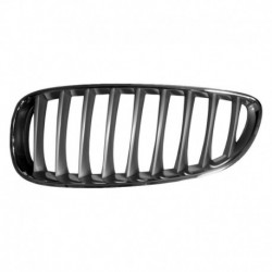 Griglia mascherina radiatore anteriore titanio sx