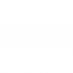 Griglia paraurti anteriore centrale