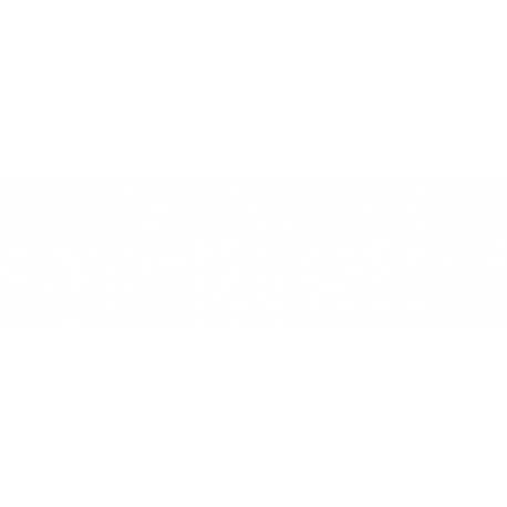 Griglia paraurti anteriore centrale