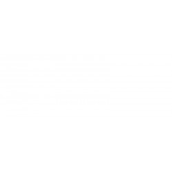 Griglia paraurti anteriore