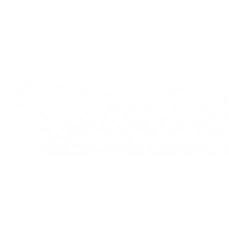 Griglia paraurti anteriore