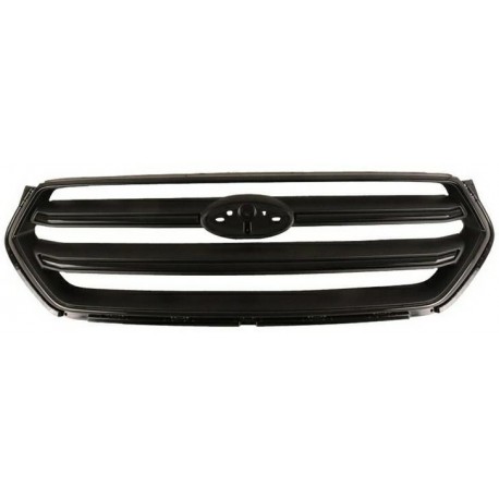 Griglia mascherina radiatore