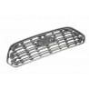 Griglia mascherina radiatore