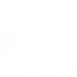 Griglia mascherina radiatore