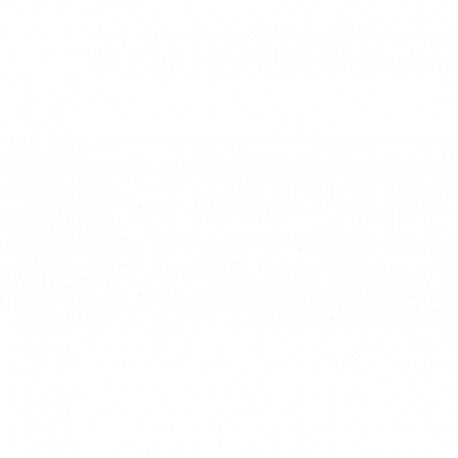 Griglia mascherina radiatore