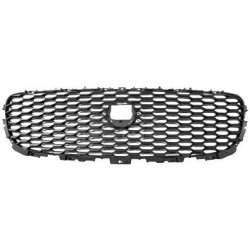 Griglia mascherina radiatore