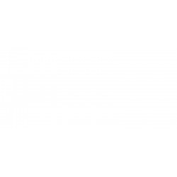 Griglia paraurti anteriore con foro fendinebbia dx