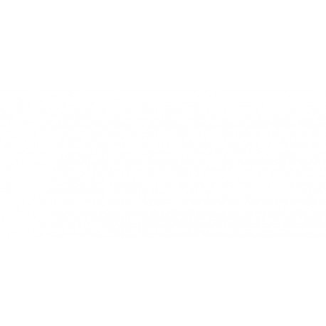 Griglia paraurti anteriore con foro fendinebbia sx