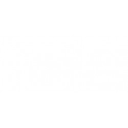 Griglia paraurti anteriore inferiore sx