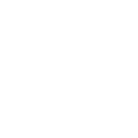 Griglia paraurti anteriore inferiore sx