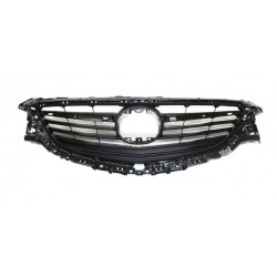 Griglia mascherina radiatore