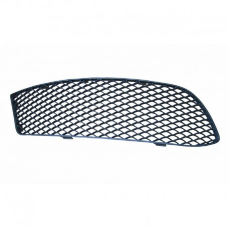 Griglia paraurti anteriore esterna versione AMG sx