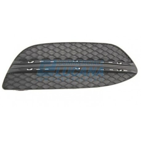 Griglia paraurti anteriore con fori modanatura dx