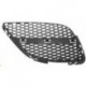 Griglia mascherina radiatore anteriore dx