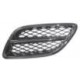 Griglia mascherina radiatore anteriore sx
