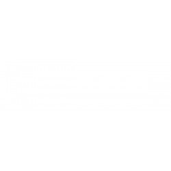 Griglia paraurti anteriore centrale esterna modelli 5 porte