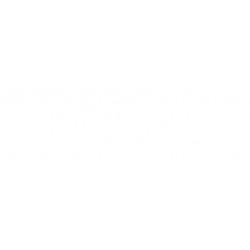 Griglia paraurti anteriore centrale interna