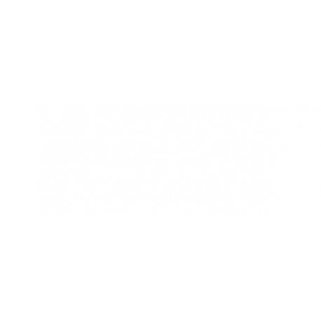 Griglia paraurti anteriore centrale interna