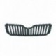 Griglia mascherina radiatore nera