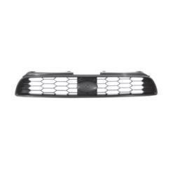 Griglia mascherina radiatore