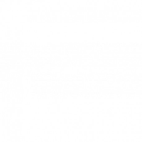 Griglia mascherina radiatore cromata - grigia