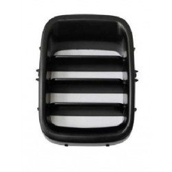 Griglia mascherina radiatore