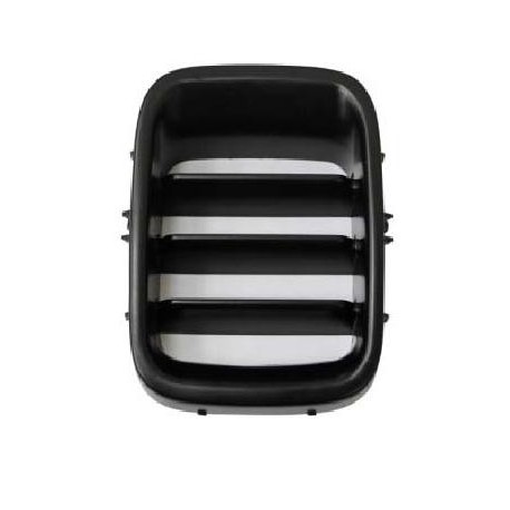 Griglia mascherina radiatore