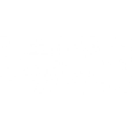 Griglia paraurti anteriore con foro fendinebbia con 2 profili cromati dx