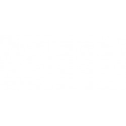 Griglia paraurti anteriore con foro fendinebbia con 2 profili cromati sx