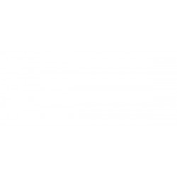 Griglia paraurti anteriore con foro fendinebbia con profilo cromato sx