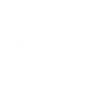 Griglia paraurti anteriore con foro fendinebbia con profilo cromato sx