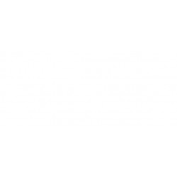 Griglia paraurti anteriore con foro fendinebbia con 2 profili cromati nera lucida sx