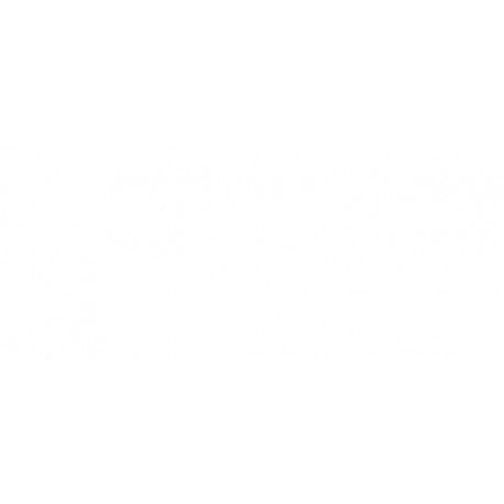 Griglia paraurti anteriore con foro fendinebbia con 2 profili cromati nero lucido dx