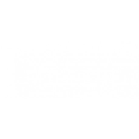 Griglia paraurti anteriore con foro fendinebbia con foro sensore con 2 profili cromati nera lucida sx