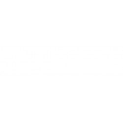 Modanatura griglia paraurti anteriore centrale cromata modeli 5 porte