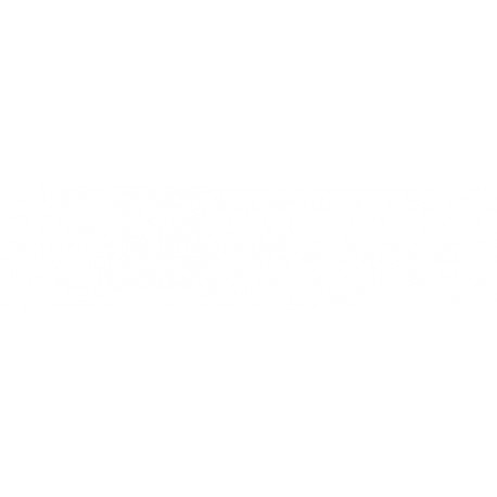 Modanatura griglia paraurti anteriore centrale cromata modeli 5 porte