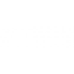 Modanatura paraurti anteriore