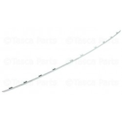 Modanatura paraurti posteriore cromata