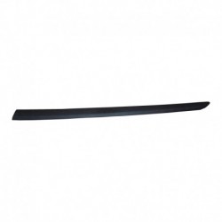 Modanatura porta anteriore sx