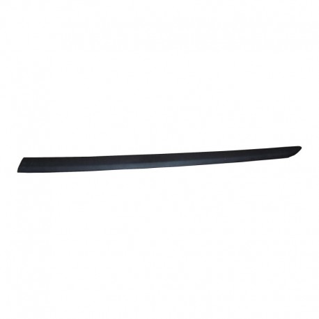 Modanatura porta anteriore sx